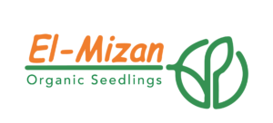 Mizan