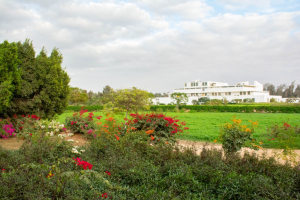 Urban Agriculture: Growing Food at Home