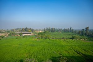 Webinar: Carbon Credit